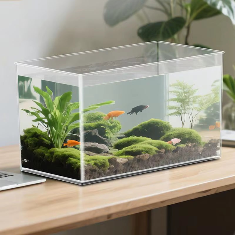Small Aquarium Betta Tank Frameless Extra Clear Bowl for Crab Spider Terrariums Mini Habitat Temporary Space Men Women Nature